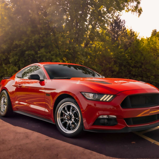 Infamous Performance Level I. (Coyotes)