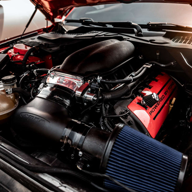 Infamous Performance Level III. (Coyotes)